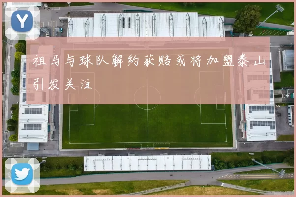 祖马与球队解约获赔或将加盟泰山引发关注
