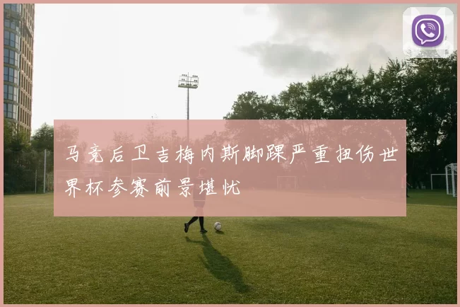 马竞后卫吉梅内斯脚踝严重扭伤世界杯参赛前景堪忧