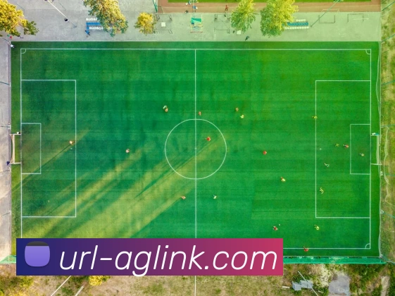 AG娱乐平台生态图